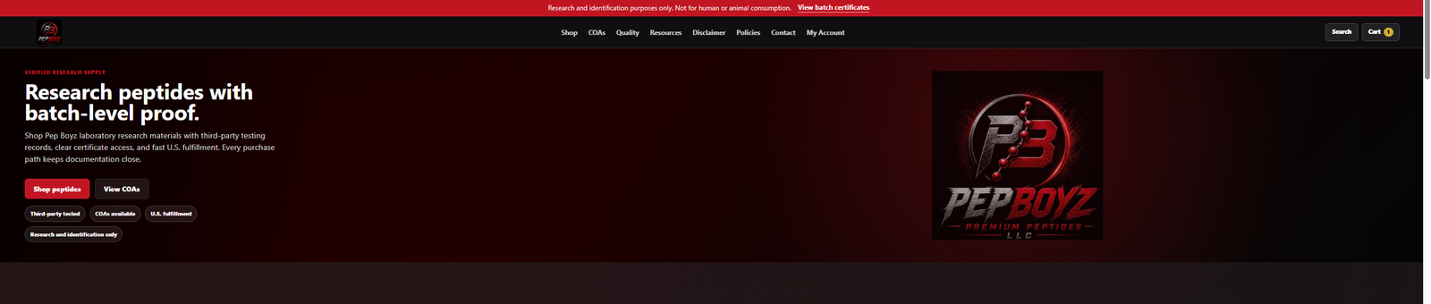 Custom website portfolio example built from scratch for a specialized business